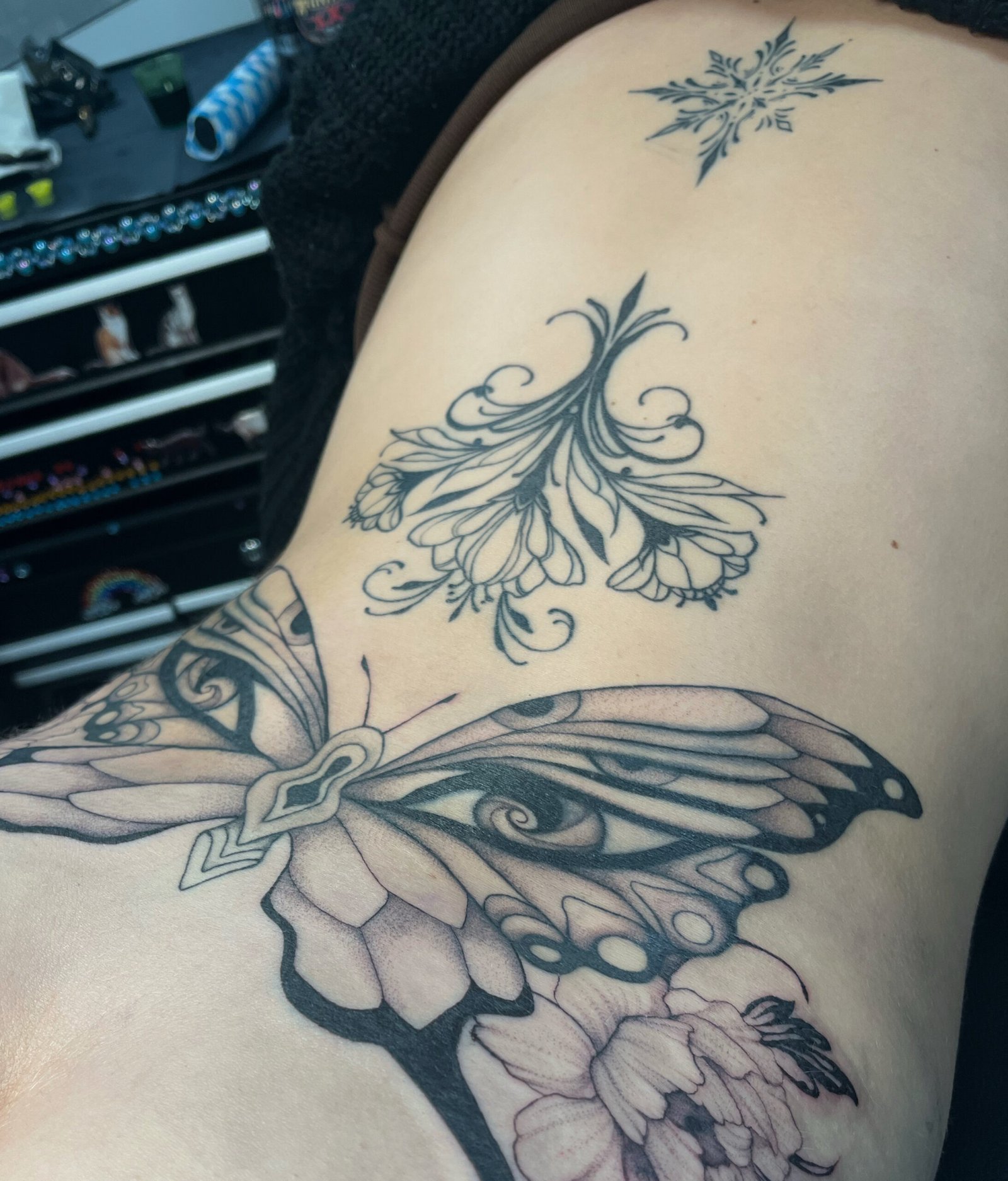 Coverup-Schmetterling