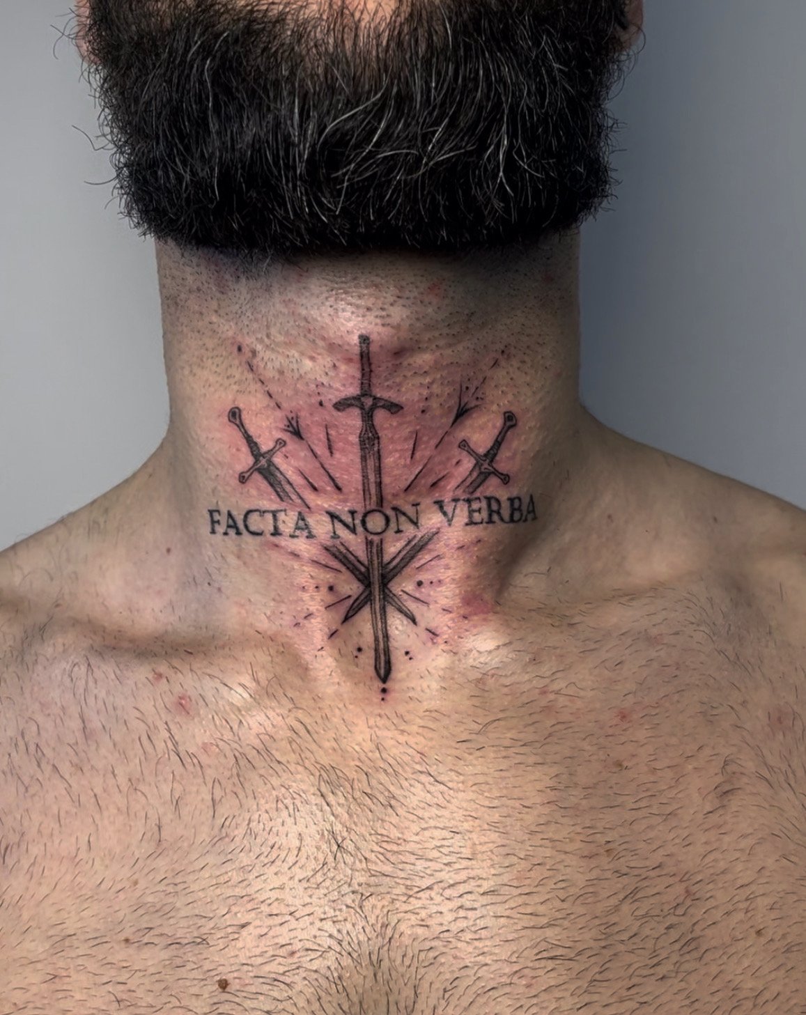 Facta Non Verba