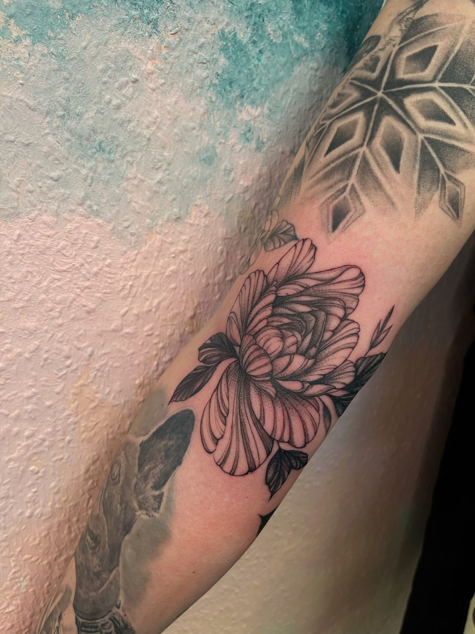 Blume