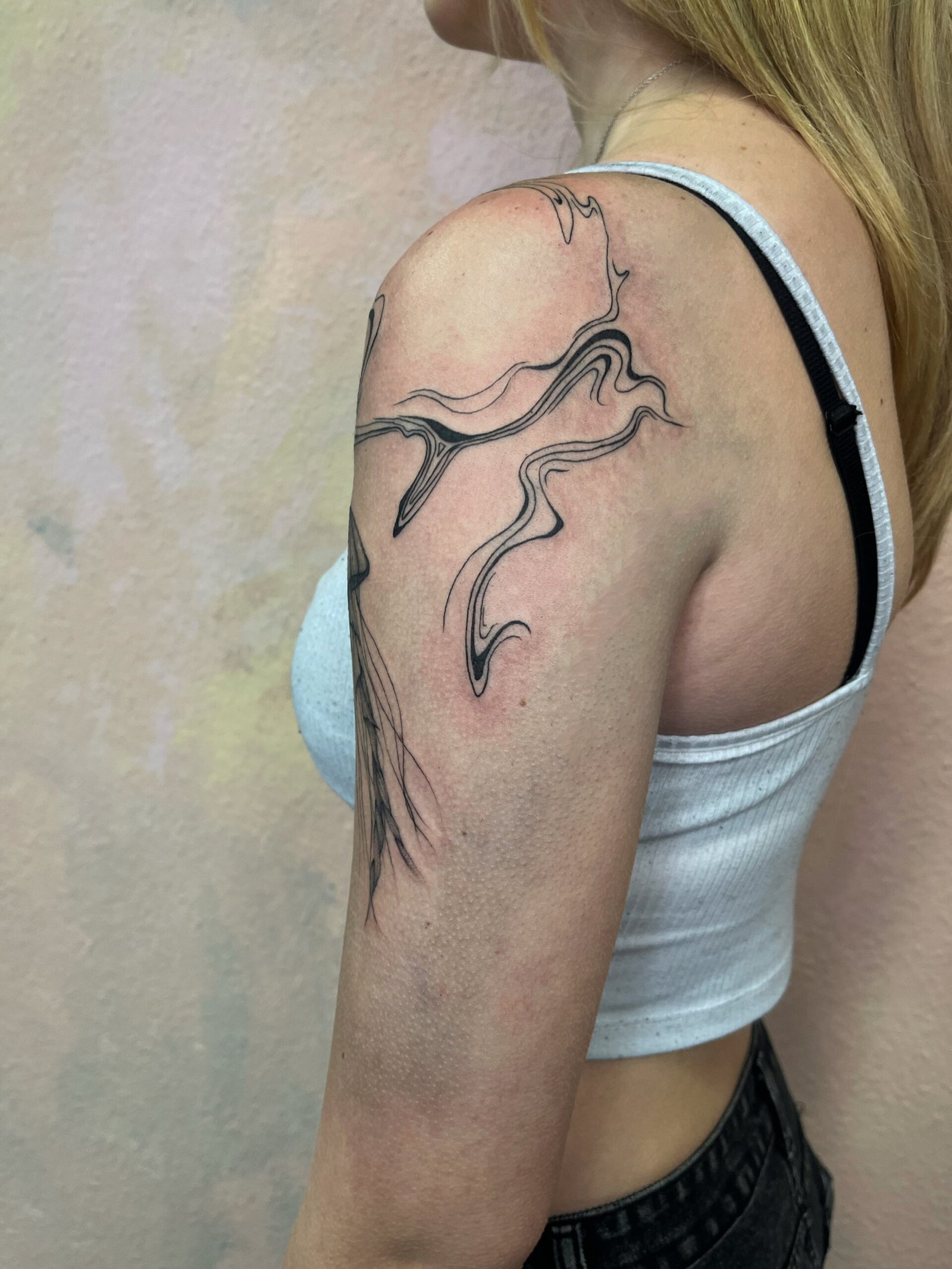 Jellyfish