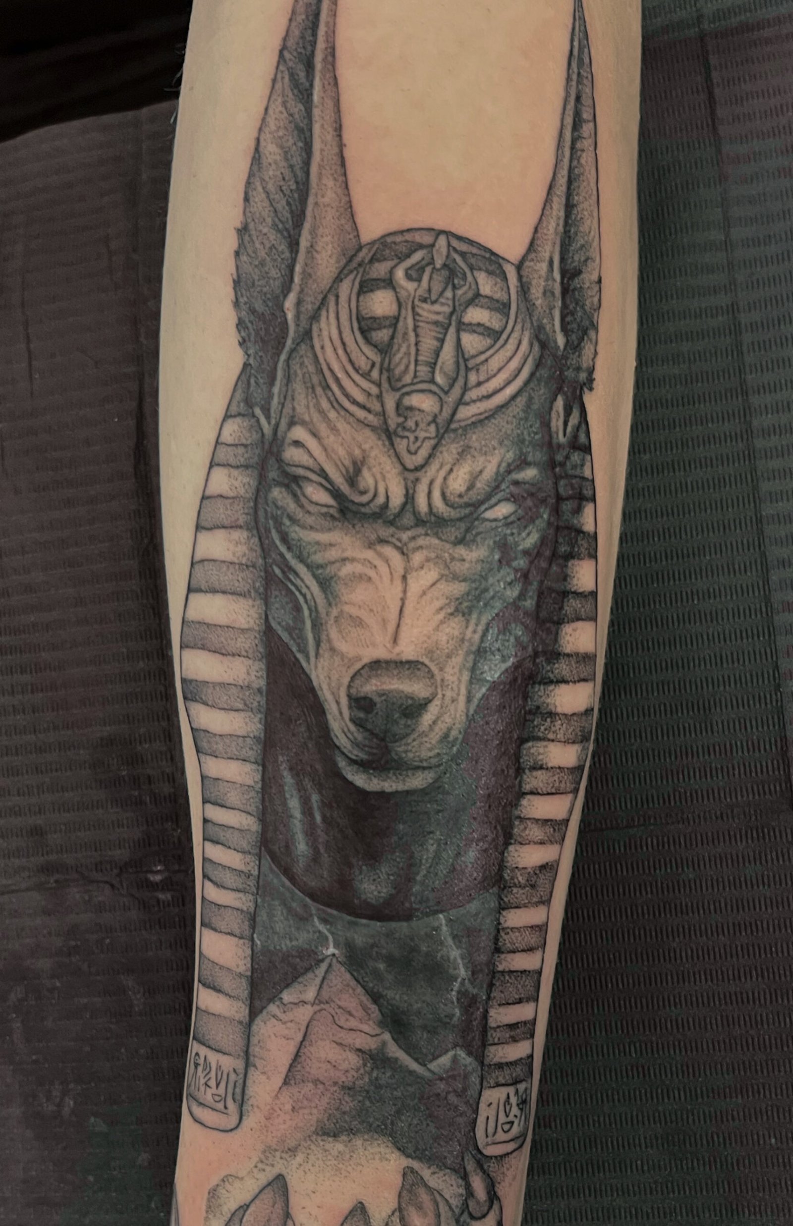 Anubis