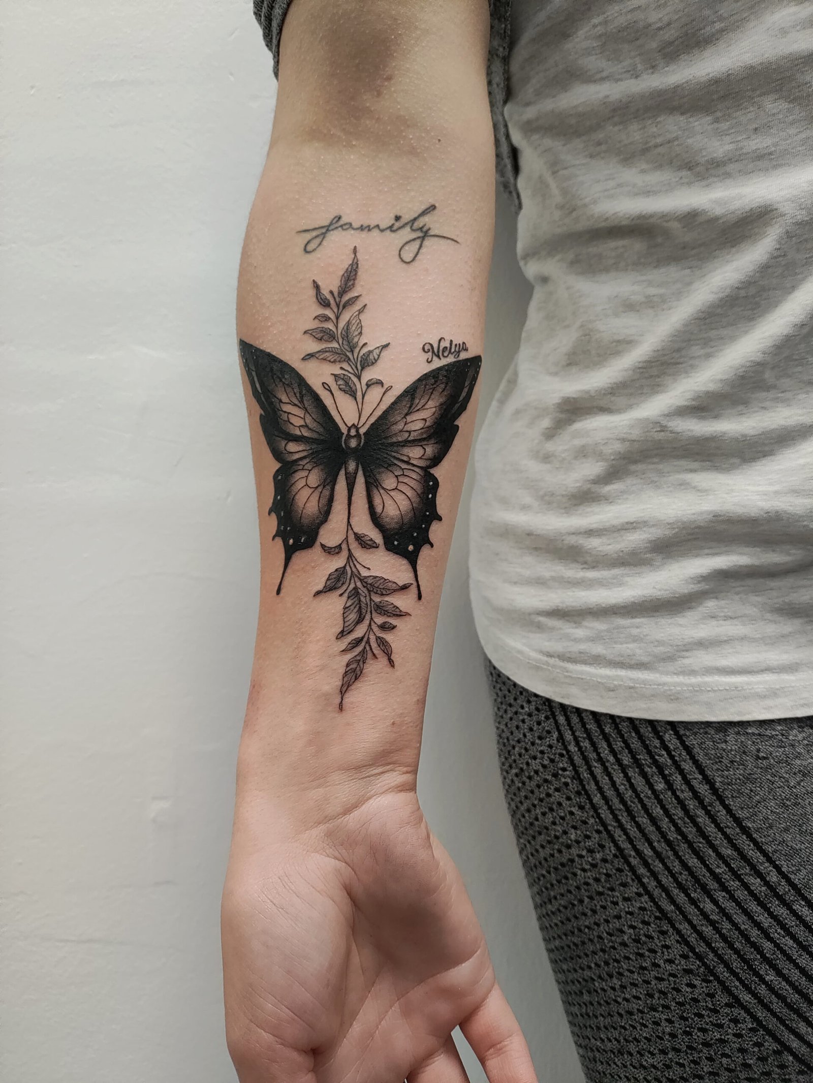 Schmetterling