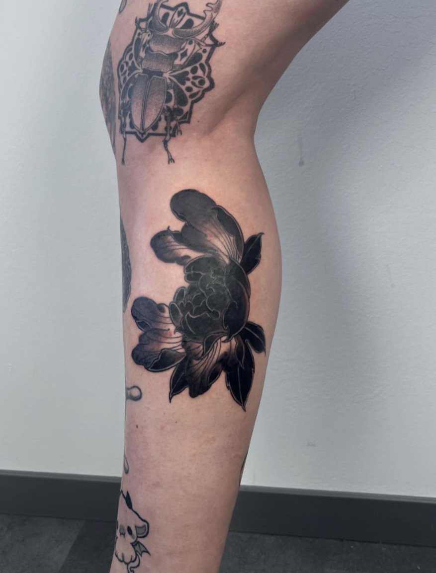 Blume Schatten