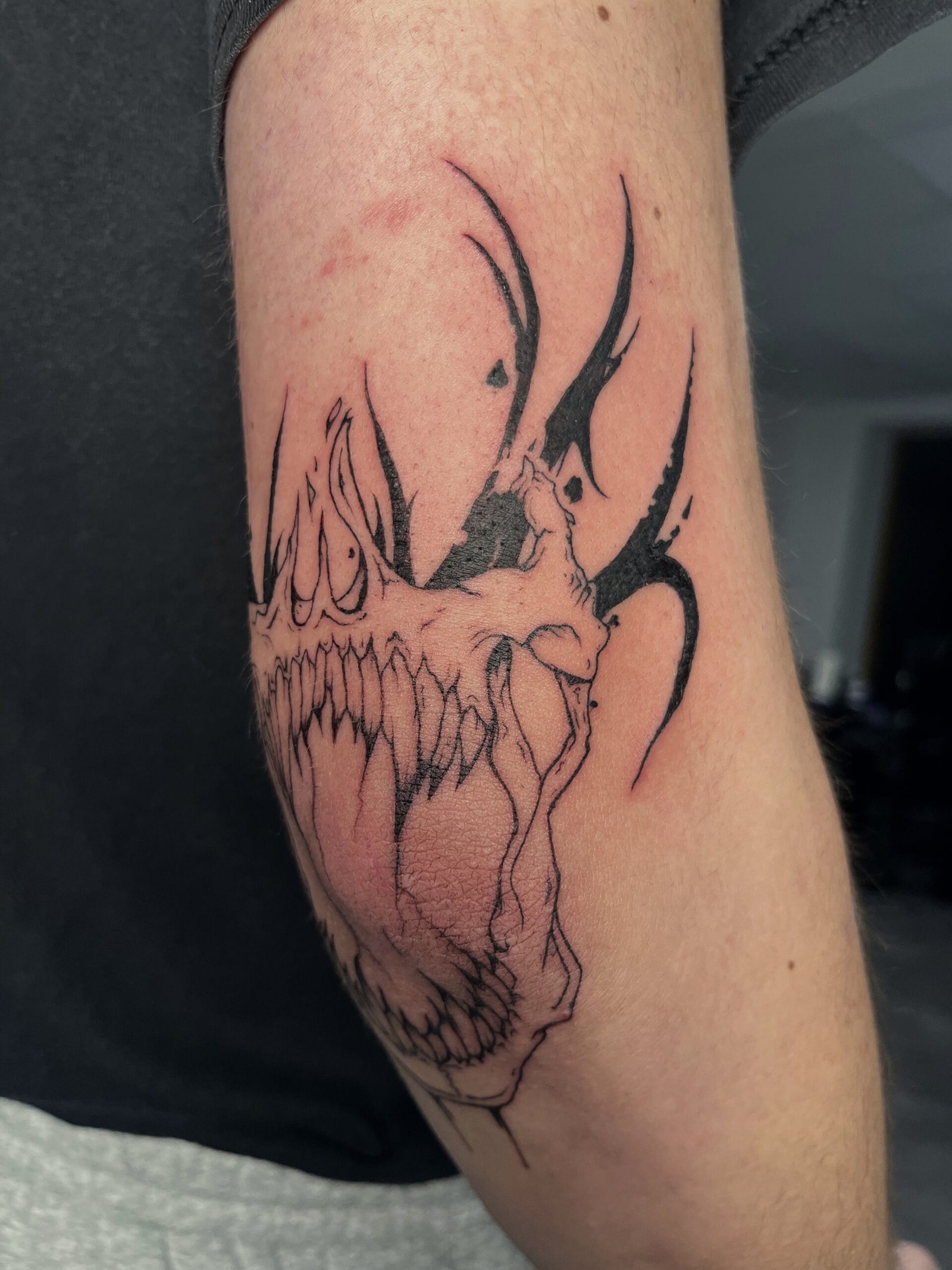 Skull & Teeth
