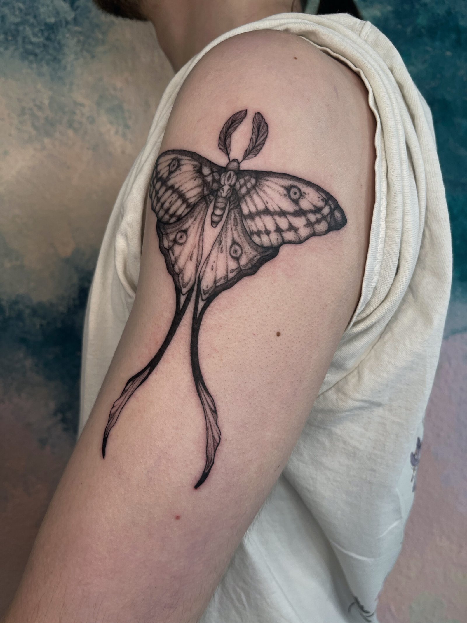 5A8D01AC-2458-4D05-9889-098856B8097A